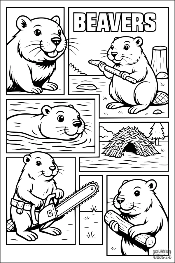 Coloring page showing cartoon beavers building a lodge by a river, swimming, and carrying sticks