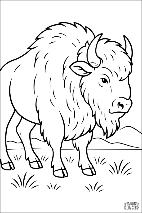 Coloring page featuring a bison standing on a grassy plain with mountains in the background