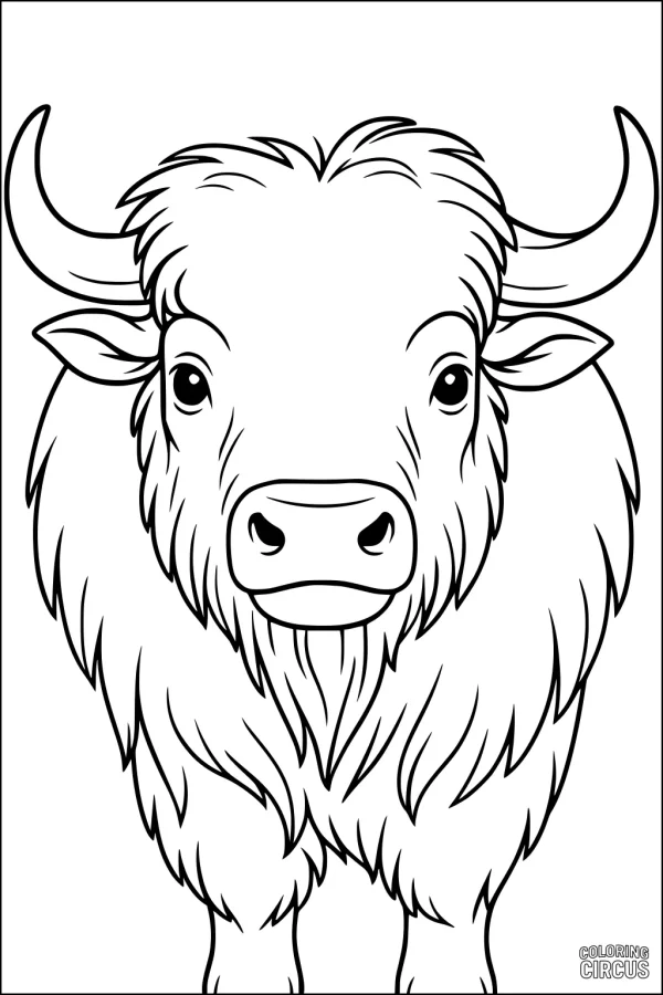 Coloring page of a cartoon buffalo with fluffy fur and large horns