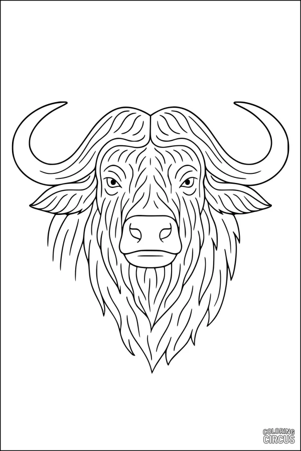 Coloring page showing front view of buffalo head with detailed mane and curved horns