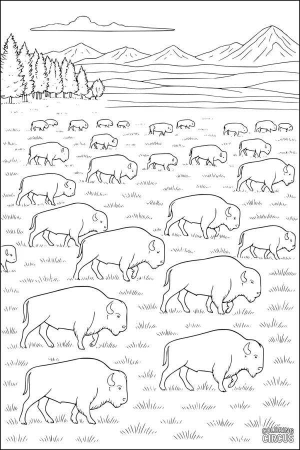 Coloring page showing a herd of buffalo grazing on grassy plains with mountains and trees in the background