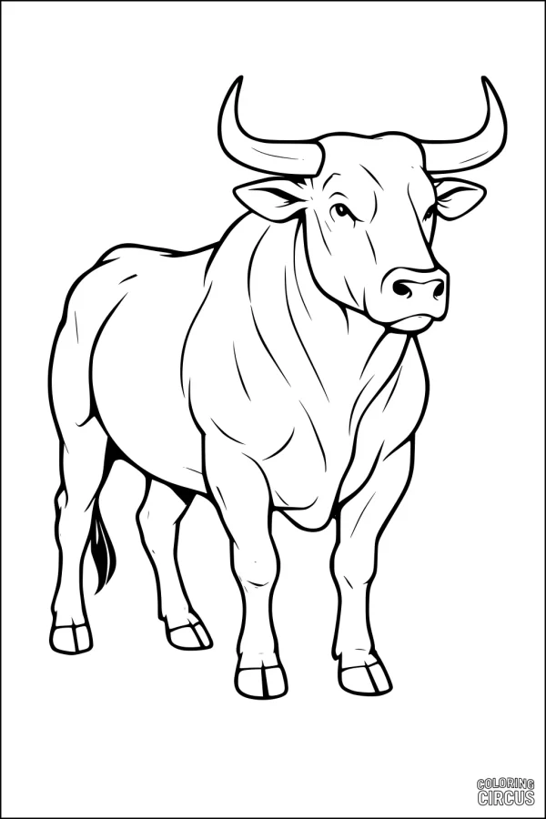 Coloring page of a standing bull with large horns and friendly expression