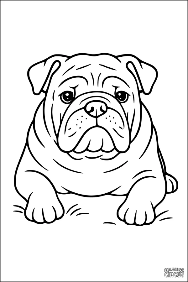 Coloring page featuring a friendly bulldog cartoon dog with a wrinkled face and big paws