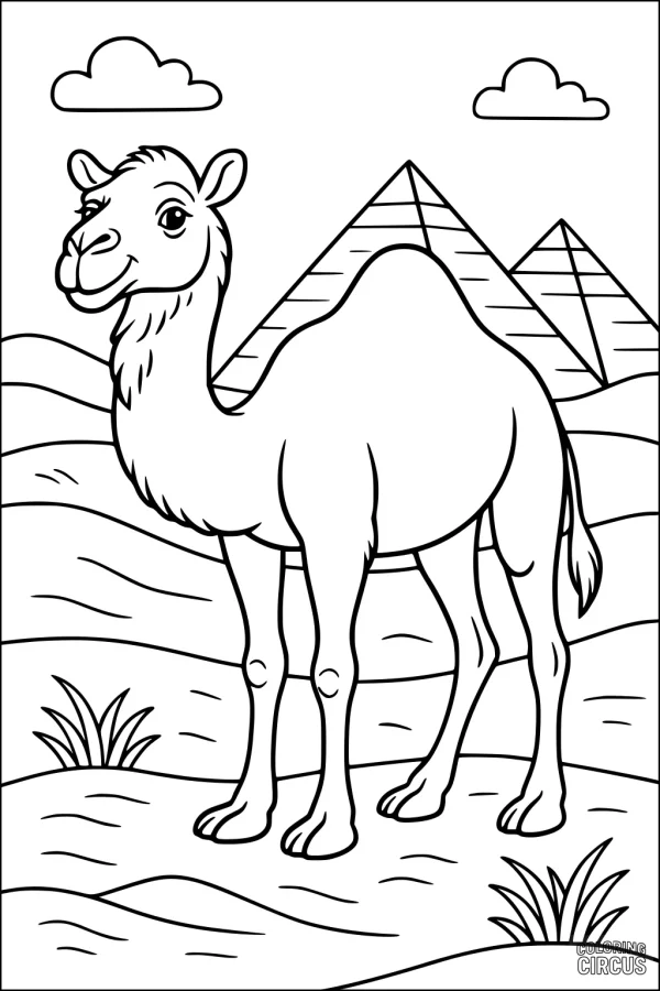 Coloring page of a smiling camel standing in the desert with pyramids and clouds in the background