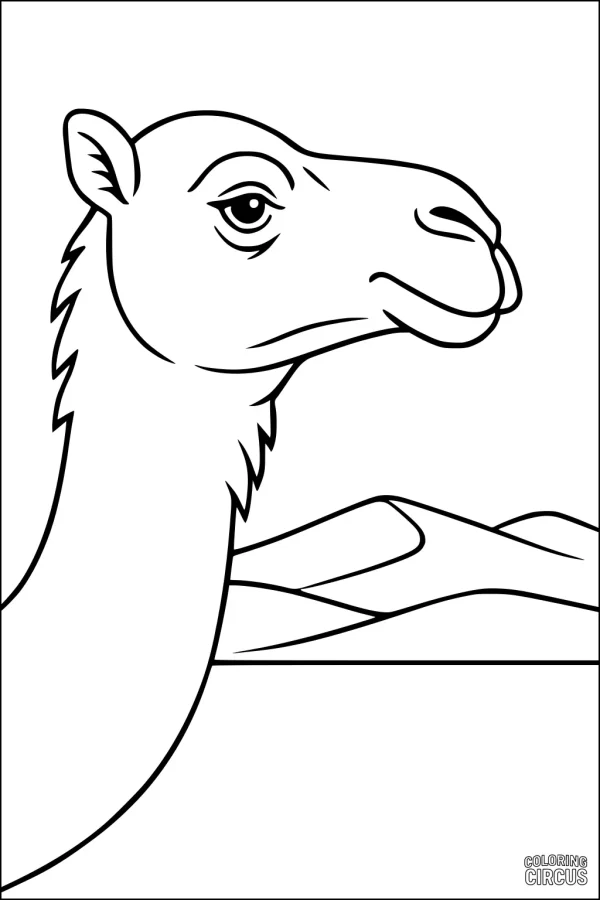 Coloring page features a friendly camel head in front of desert dunes, suitable for children