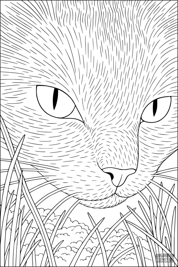 Coloring page close-up of a domestic cat’s face looking through grass with clouds in the background