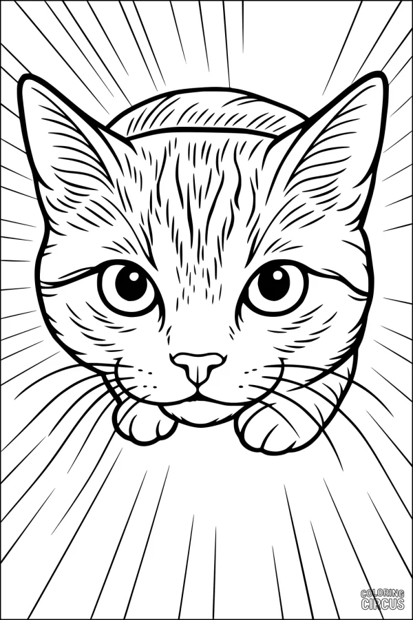 Coloring page close-up of a cute domestic cat face with bright eyes and sunburst lines in background