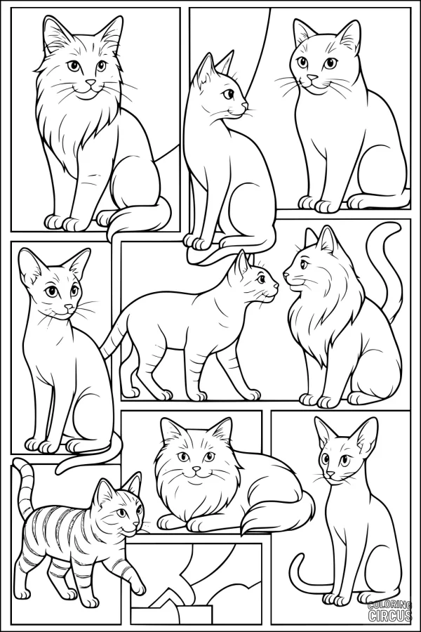 Coloring page showing nine different cats in various poses, each in its own frame