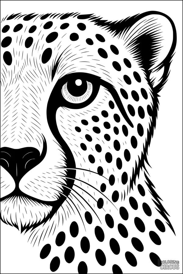 Coloring page close-up of a cheetah's face with detailed spots and expressive features