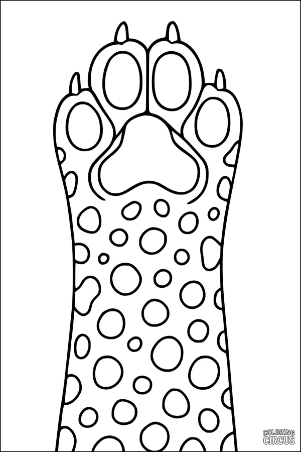 Coloring page of a large cheetah paw print with bold spots