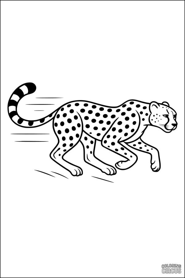 Coloring page showing a cheetah running with motion lines, perfect for kids interested in cheetahs