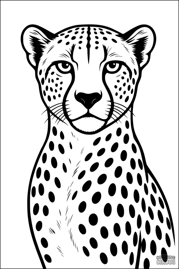 Coloring page of a cheetah sitting upright with detailed face and spots
