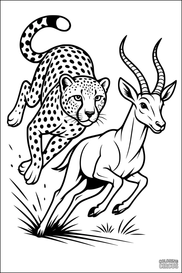 Coloring page featuring a cheetah sprinting after an antelope on the savannah
