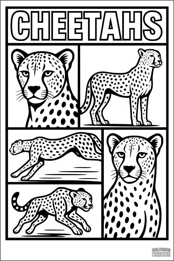 Coloring page showing several cheetahs running and standing in comic-style panels