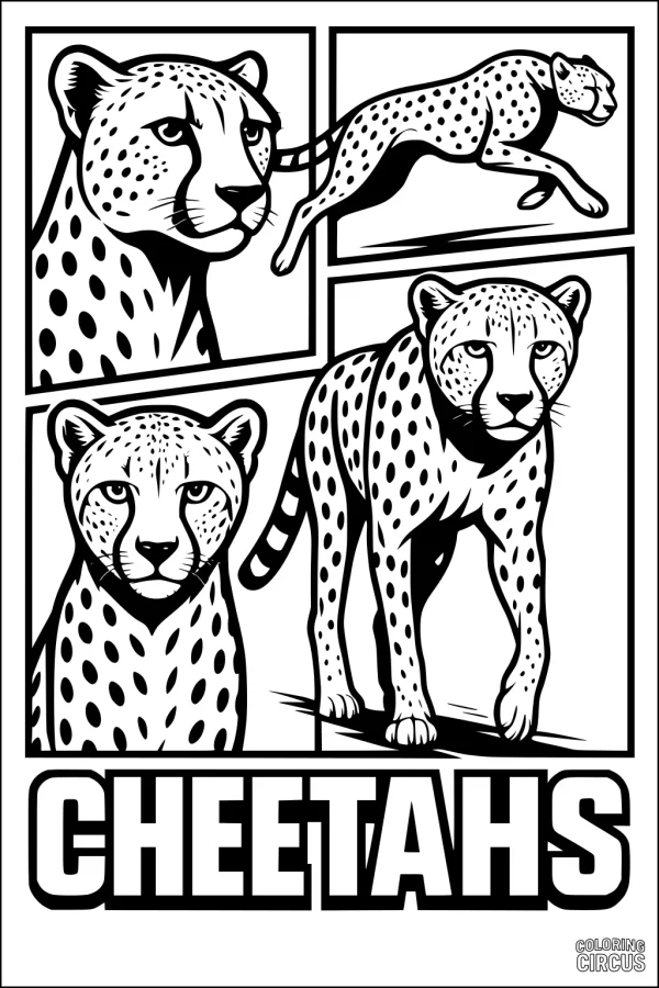 Coloring page showing three cheetahs in different poses within boxed panels and the word cheetahs below