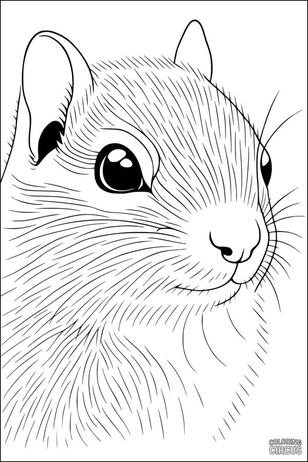 Coloring page close-up of a chipmunk face with detailed fur, large eyes, and soft features