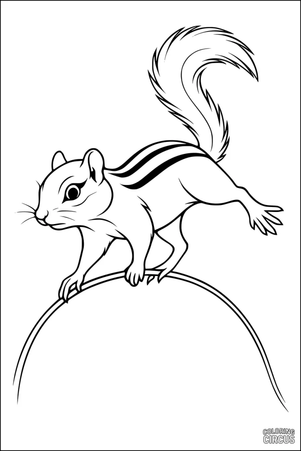 Coloring page chipmunk balancing on a branch, simple design for young children.