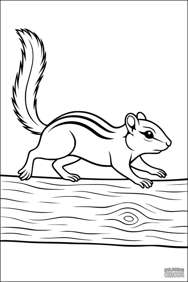 Coloring page of a chipmunk walking on a log, features bold outlines suitable for young children.