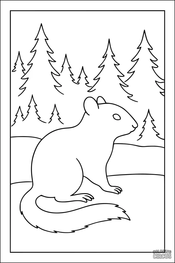 Coloring page featuring a chipmunk sitting on the ground with tall pine trees in the background