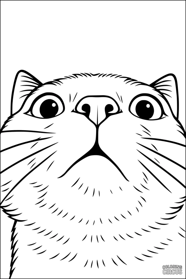 Coloring page close-up of a curious domestic cat's face with large eyes and detailed whiskers