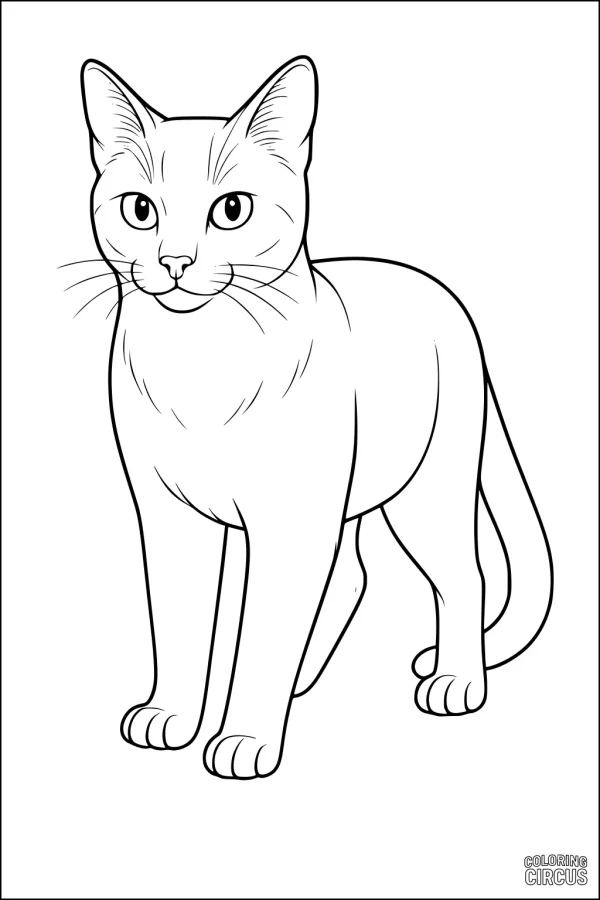 Coloring page of a standing cat with upright ears and a curious expression