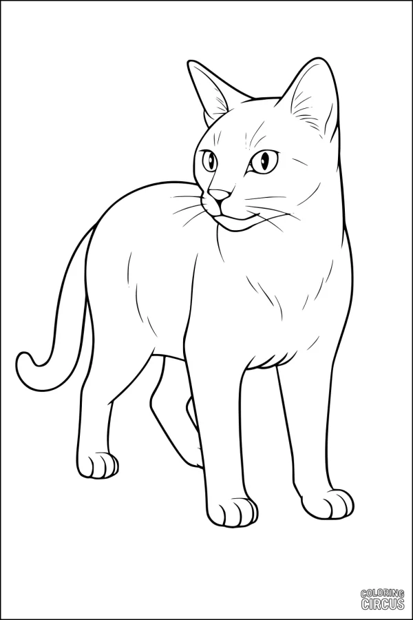 Coloring page showing a domestic cat standing and looking to the side, ideal for children