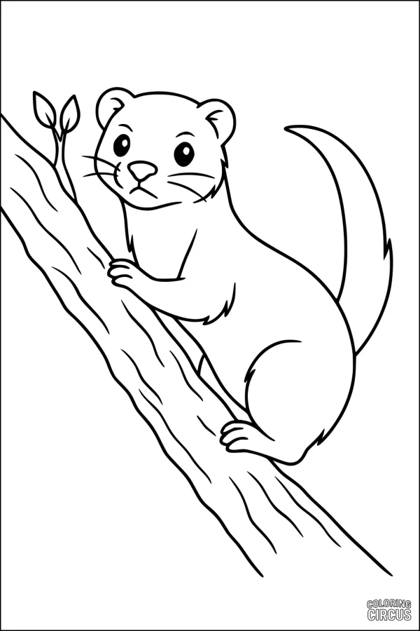 Coloring page featuring a cute ferret climbing on a tree log with two leaves