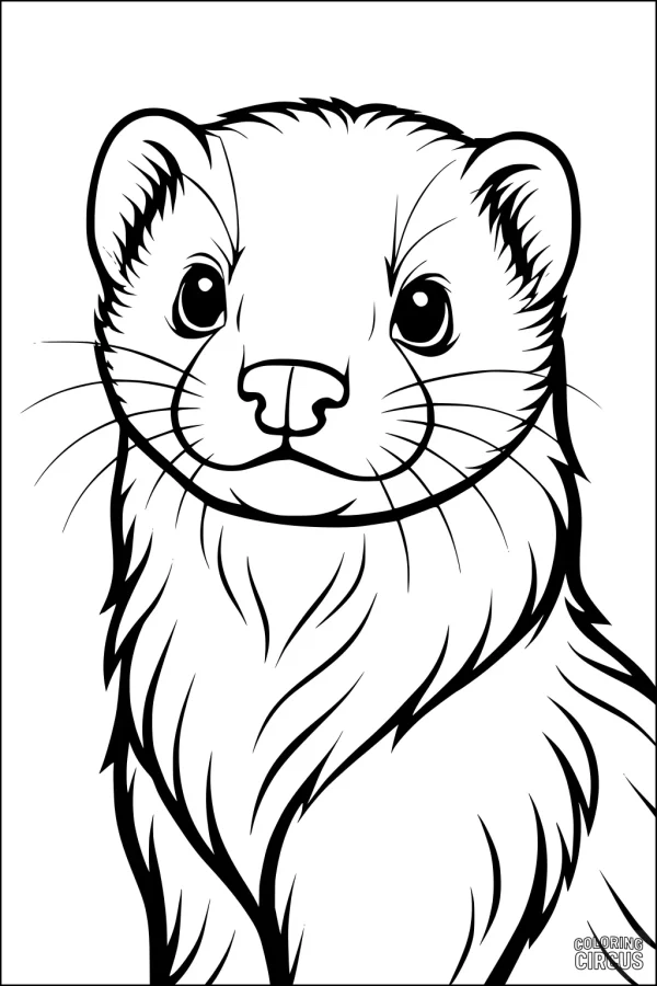 Coloring page showing a cute ferret with big eyes and fluffy fur, perfect for young kids and animal lovers.