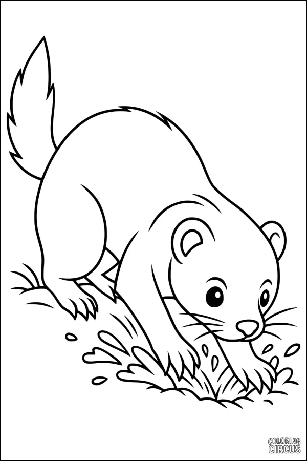 Coloring page featuring a cute ferret digging in grass with splashing water