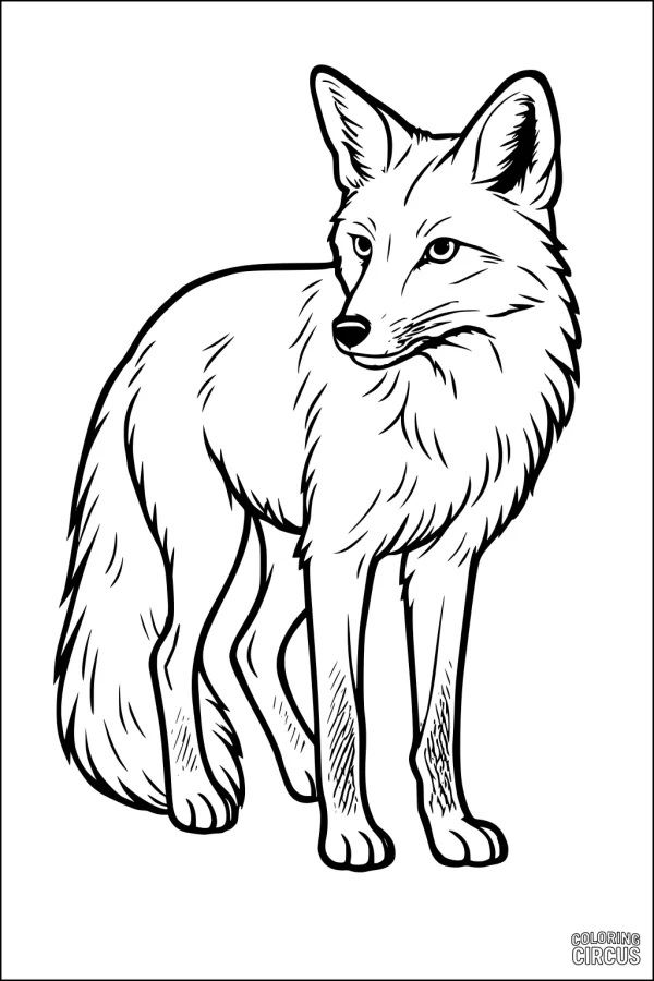 Coloring page showing a detailed, standing fox with fluffy tail and alert expression