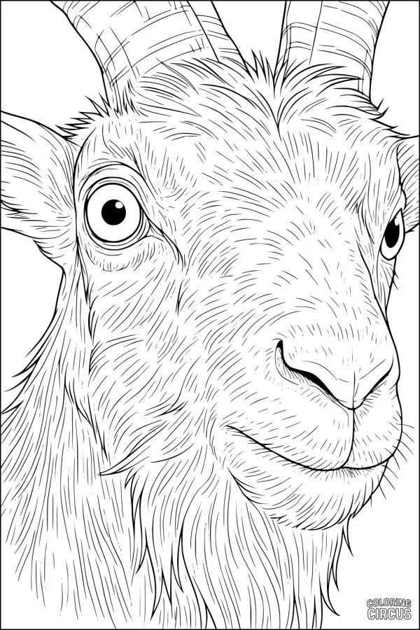 Coloring page showing a detailed close-up of a goat's face with textured fur and large horns