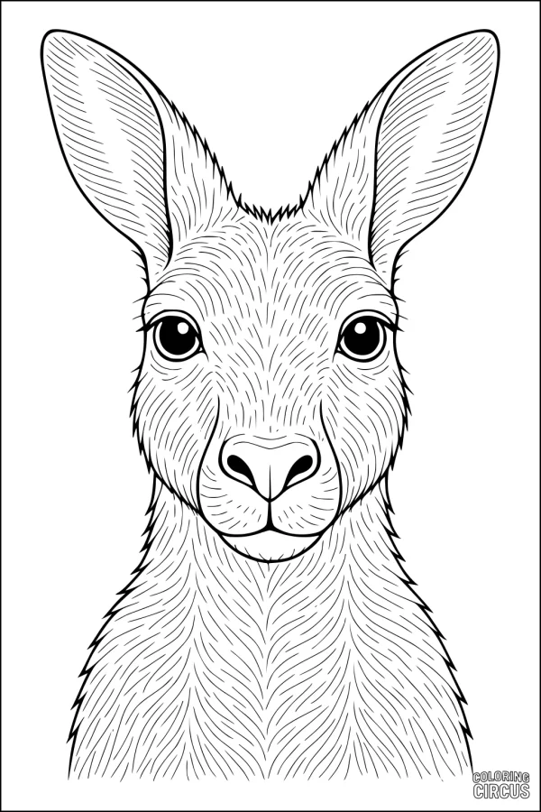 Coloring page close-up portrait of a kangaroo's face with detailed fur texture