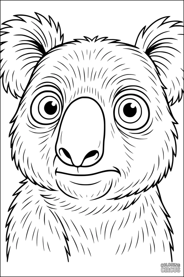Coloring page featuring a cute koala with fluffy fur and big eyes
