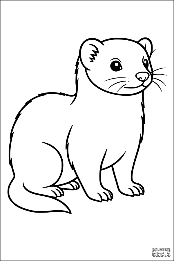 Coloring page showing a friendly cartoon ferret sitting and looking ahead