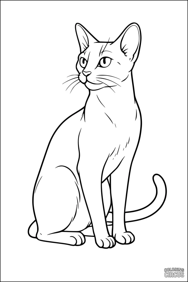Coloring page of a sitting cat with upright ears and alert eyes