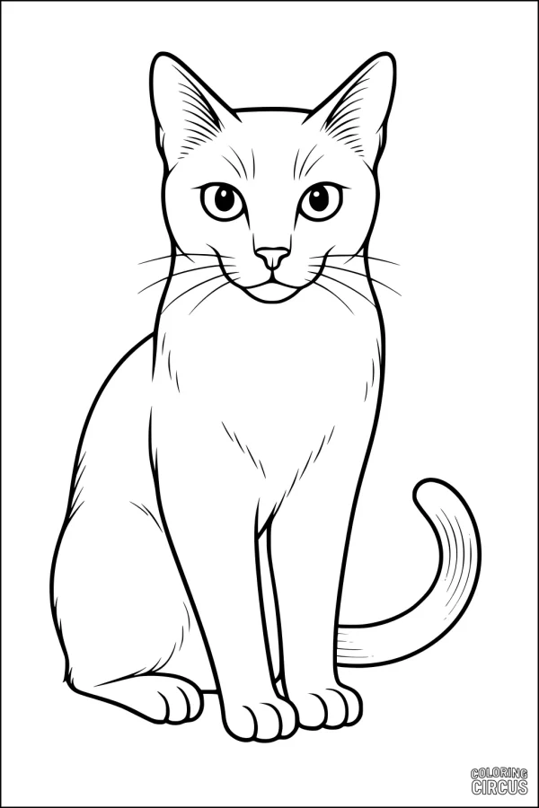 Coloring page of a simple sitting cat with large eyes and a curled tail