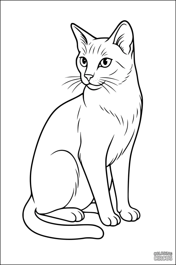 Coloring page of a friendly sitting cat with alert ears and a soft tail