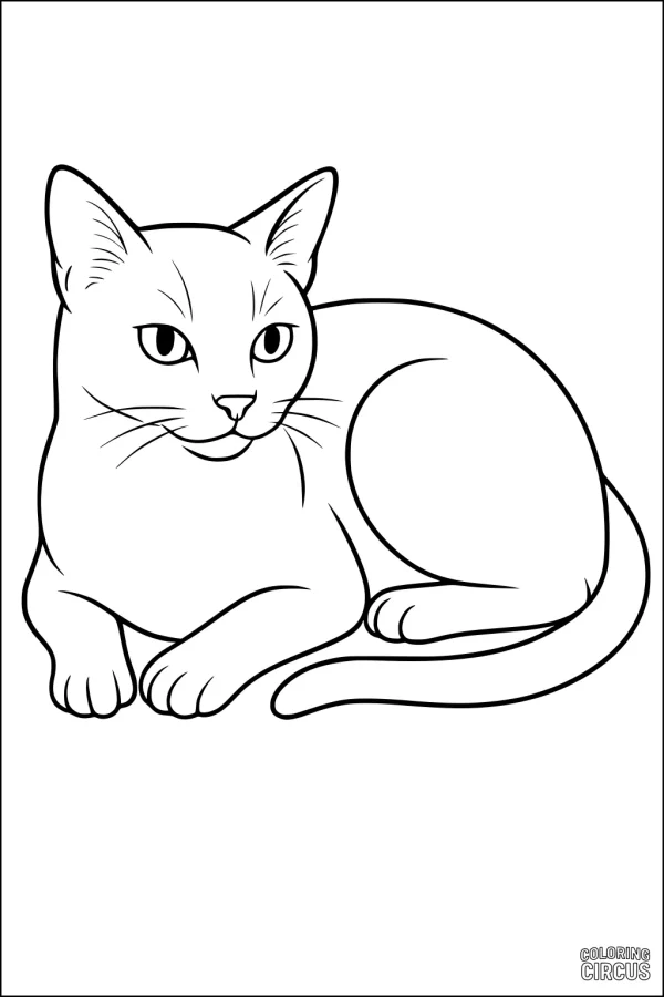 Coloring page of a curled-up cat with relaxed pose for kids
