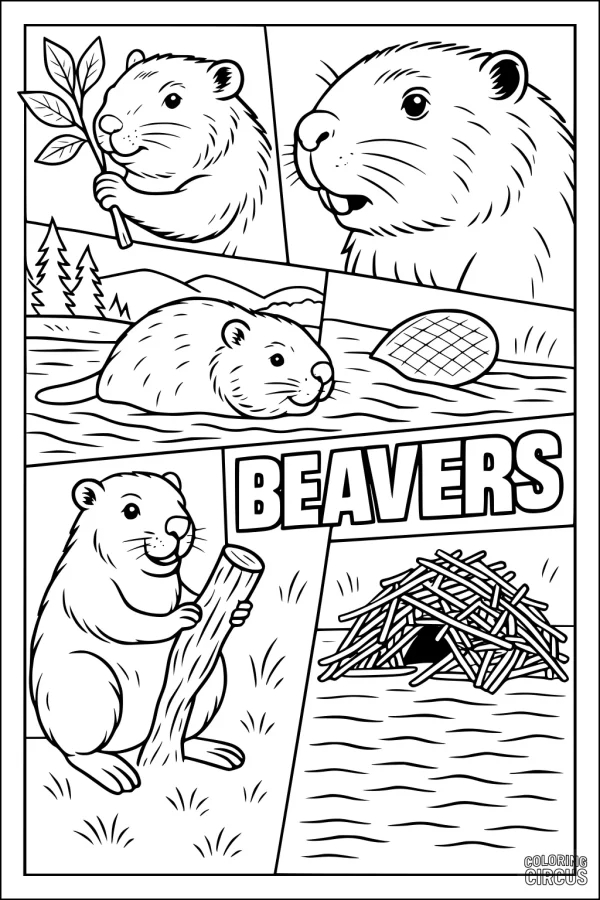 Coloring page with beaver cartoon, swimming, holding stick, lodge in river scenery