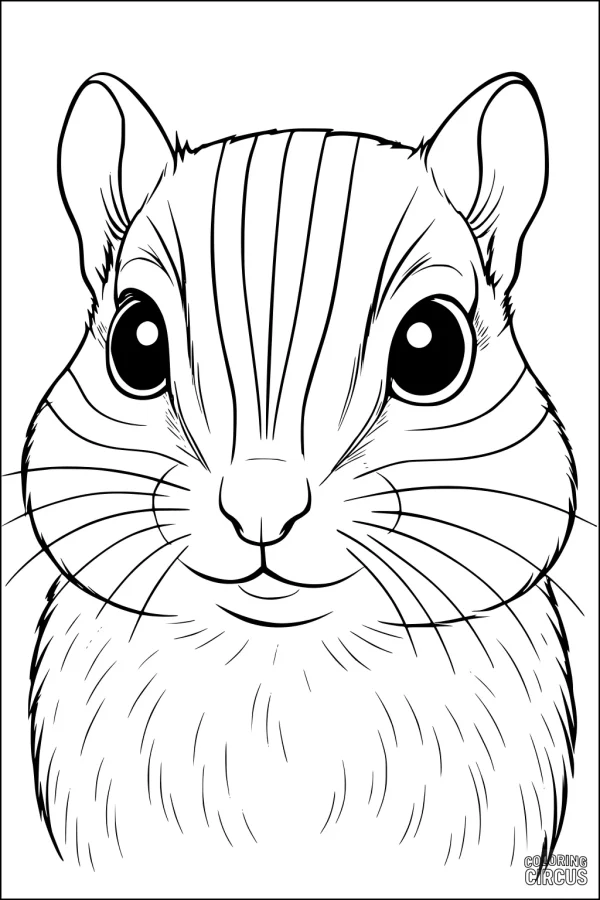 Coloring page featuring a close-up of a chipmunk's face with large eyes and fluffy cheeks