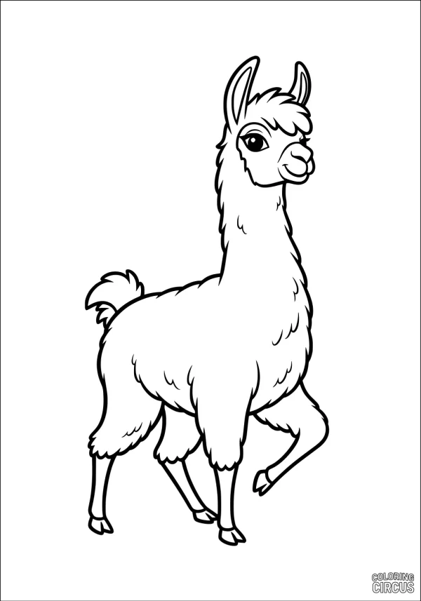 Coloring page featuring a cartoon-style llama standing with one leg raised, fluffy fur and a friendly expression