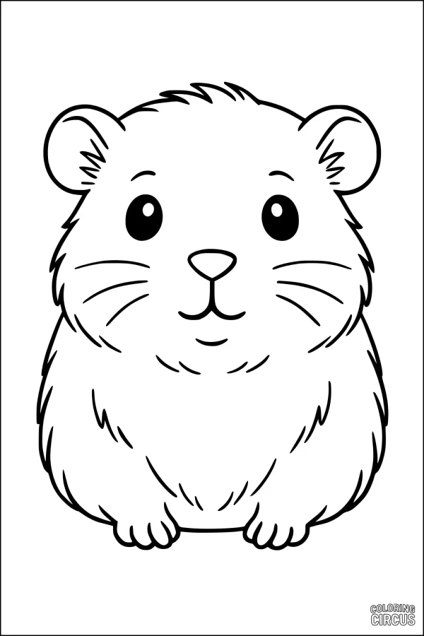 Coloring page featuring a cute, cartoon guinea pig with round eyes and fluffy fur.