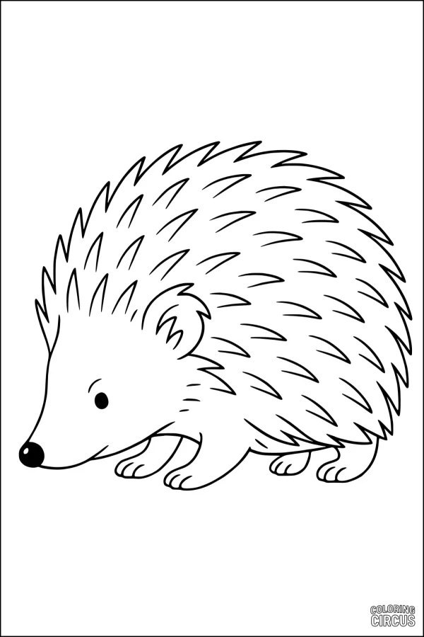 Coloring page featuring a simple cartoon hedgehog with friendly eyes and spiky fur