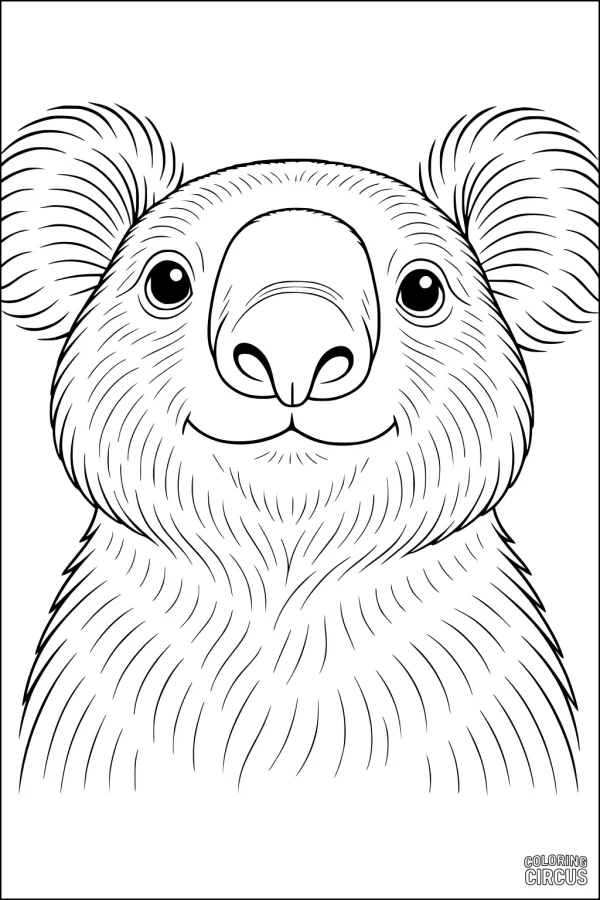 Coloring page of a smiling cartoon koala with fluffy ears and textured fur