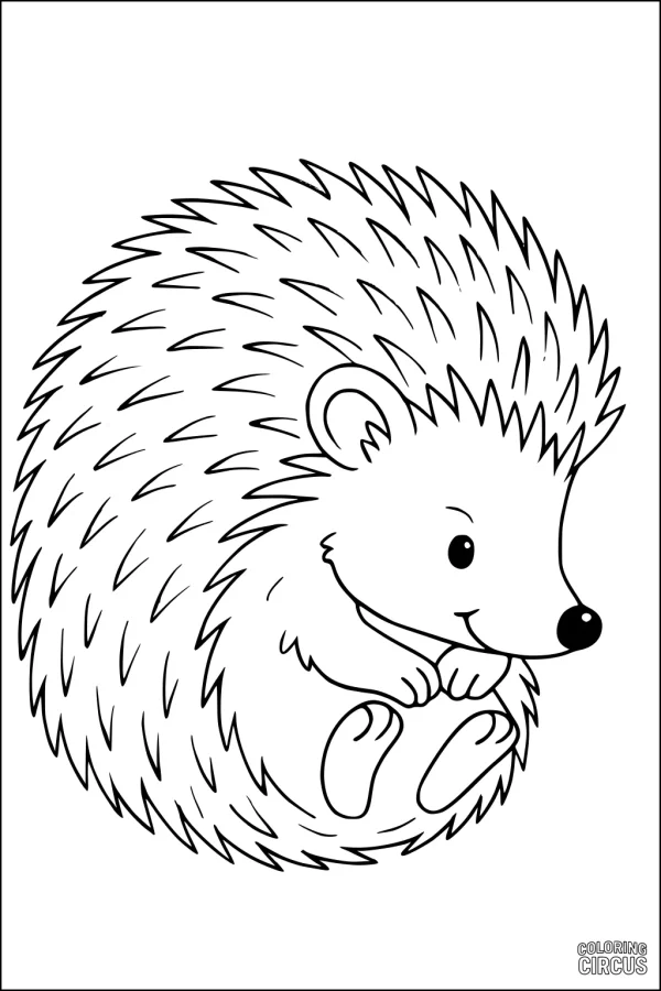 Coloring page of a happy curled-up hedgehog for kids