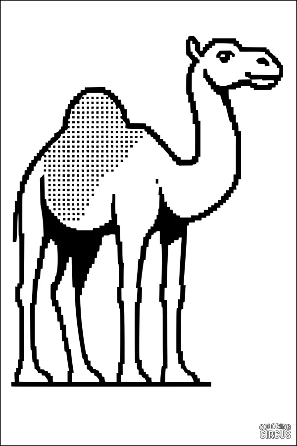 Coloring page showing a friendly, standing camel with one hump