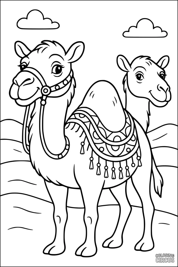 Coloring page of two smiling camels with decorated saddles in a desert landscape