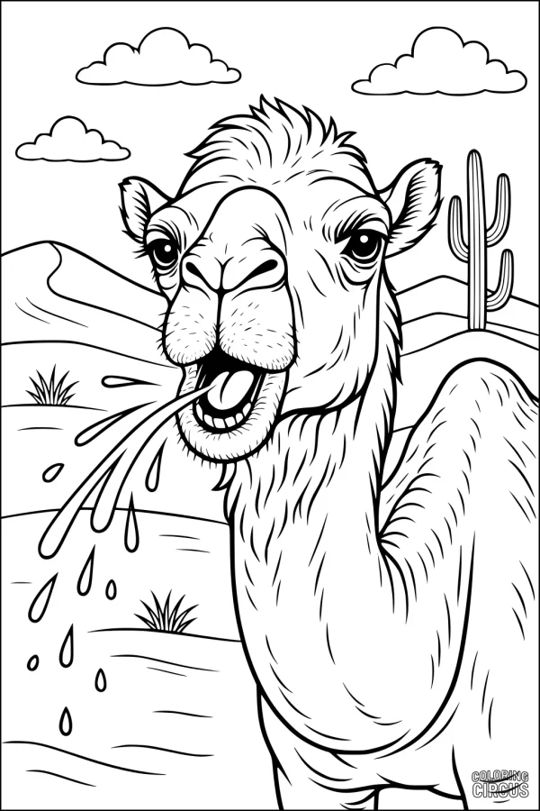 Coloring page of a camel splashing water in a desert landscape with cacti and clouds