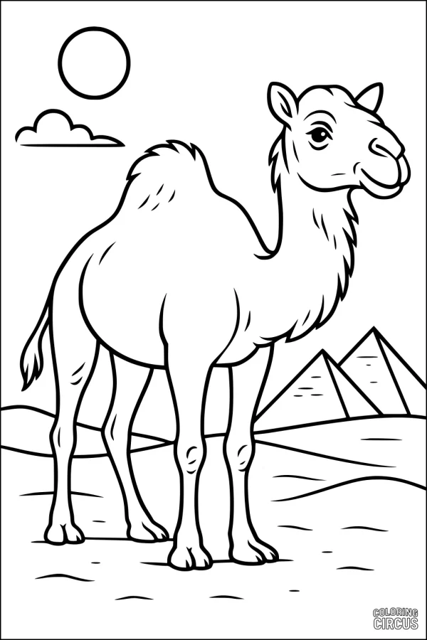 Coloring page featuring a cartoon camel with pyramids, sand dunes, sun, and cloud in the desert