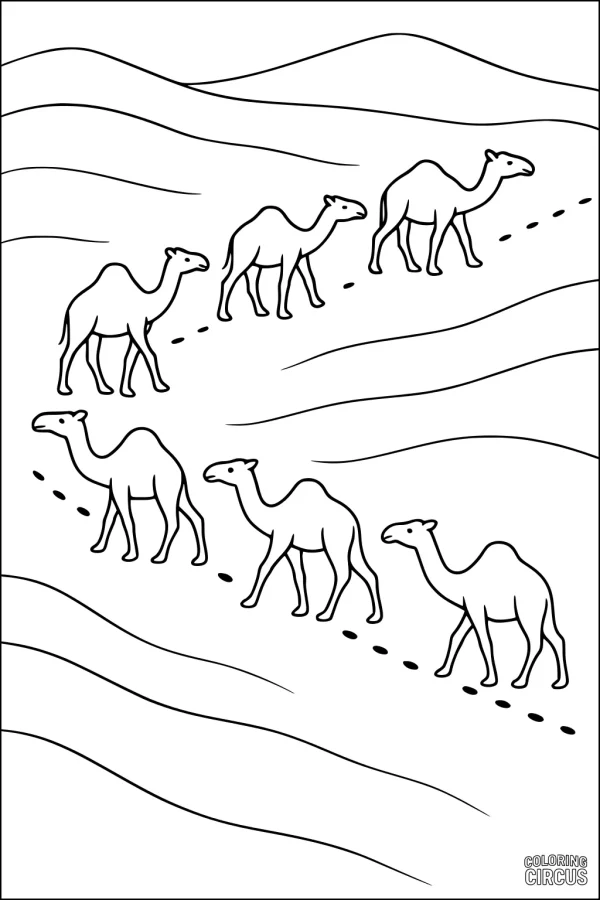 Coloring page featuring five camels walking in a line across sandy desert hills with dotted footprints.